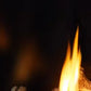 Majestic Meridian Platinum Direct Vent Gas Fireplace