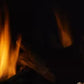 Majestic Meridian Platinum Direct Vent Gas Fireplace