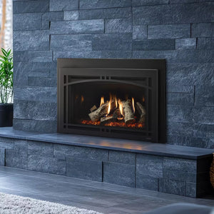 Ruby platinum direct vent gas insert