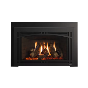 Ruby platinum direct vent gas insert