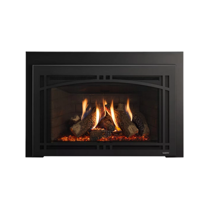 Ruby platinum direct vent gas insert