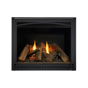 Majestic Meridian Platinum Direct Vent Gas Fireplace