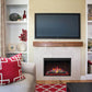 Napoleon Cineview Built-In Electric Fireplace