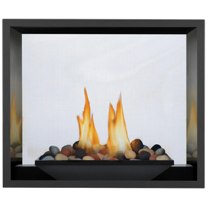 Napoleon High Definition 81 Direct Vent Gas Fireplace