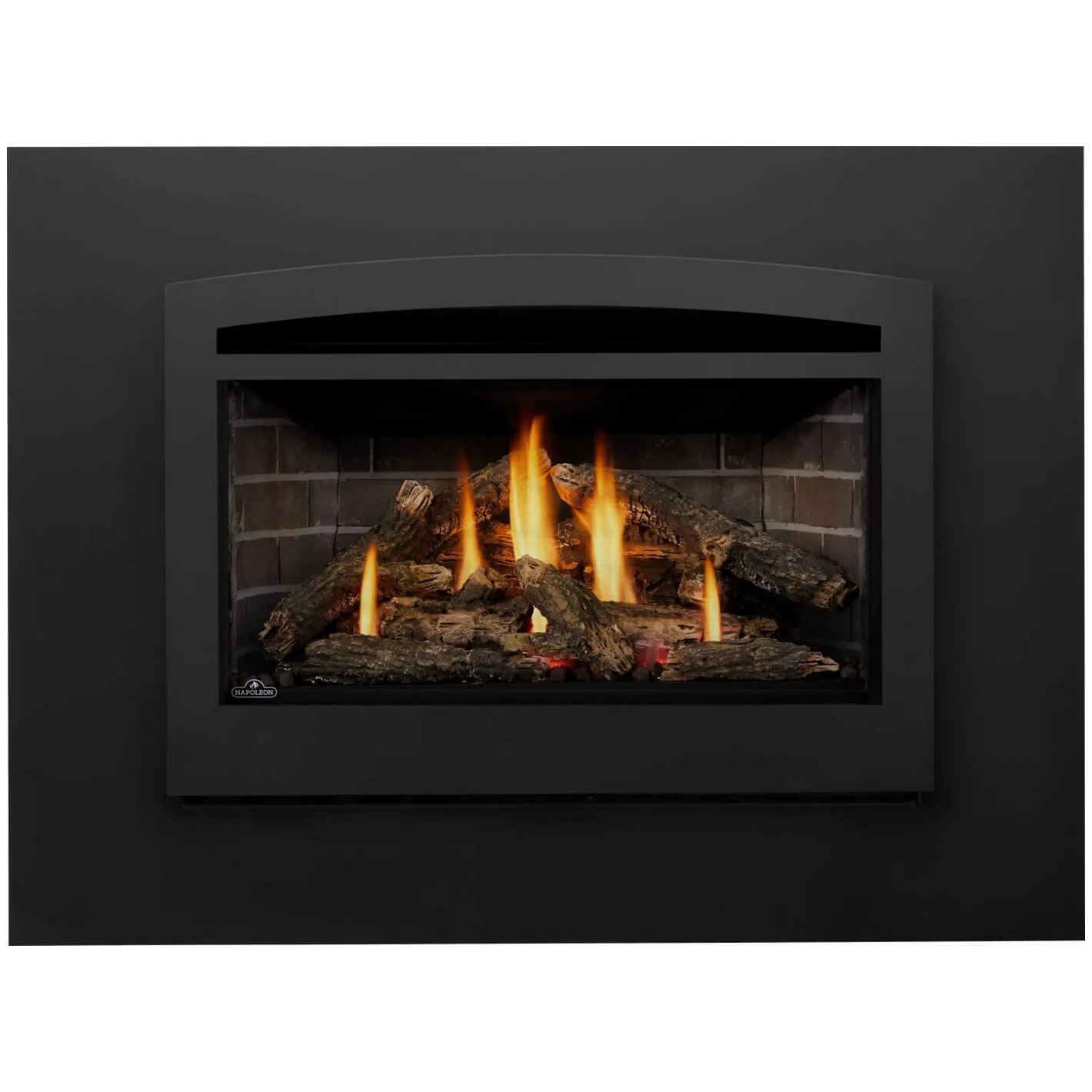 Napoleon Rosedale 3 Gas Fireplace Insert