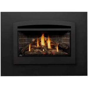 Napoleon Rosedale 3 Gas Fireplace Insert
