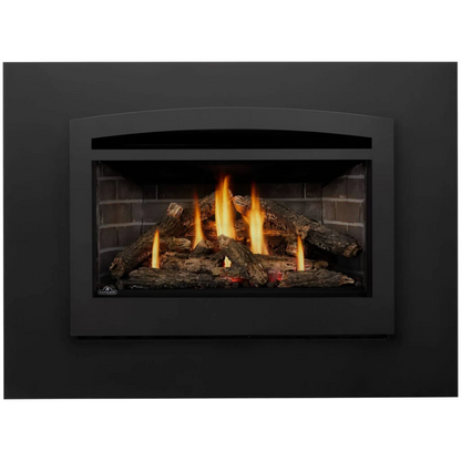 Napoleon Rosedale 3 Gas Fireplace Insert