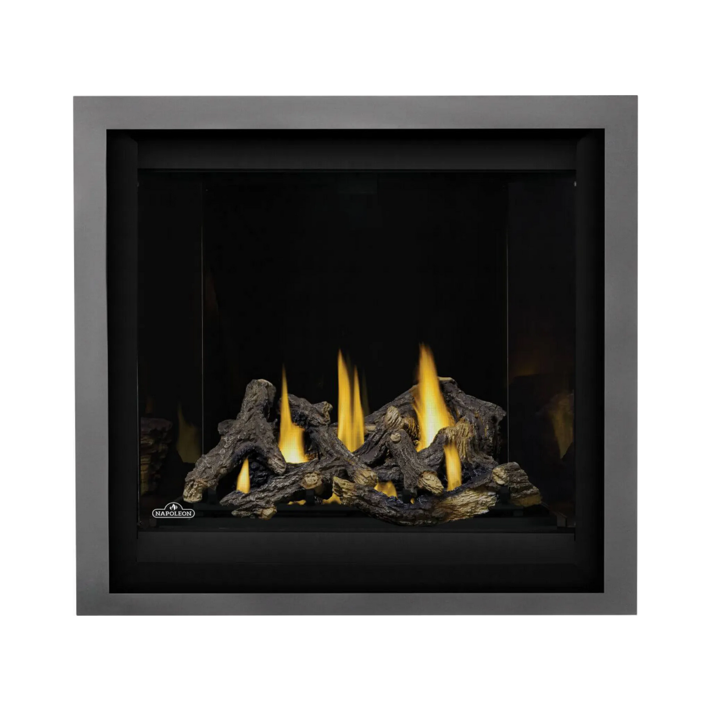 Napoleon Altitude X Direct Vent Gas Fireplace