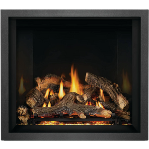Napoleon Elevation X Direct Vent Gas Fireplace