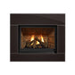 Regency Panorama Gas Fireplace