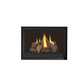 Regency Panorama Gas Fireplace