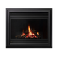 Regency Panorama Gas Fireplace
