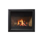 Regency Panorama P36D Gas Fireplace