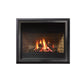 Regency Panorama P36D Gas Fireplace