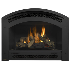 Regency Excalibur P90E Gas Fireplace