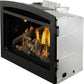 Napoleon Rosedale 3 Gas Fireplace Insert