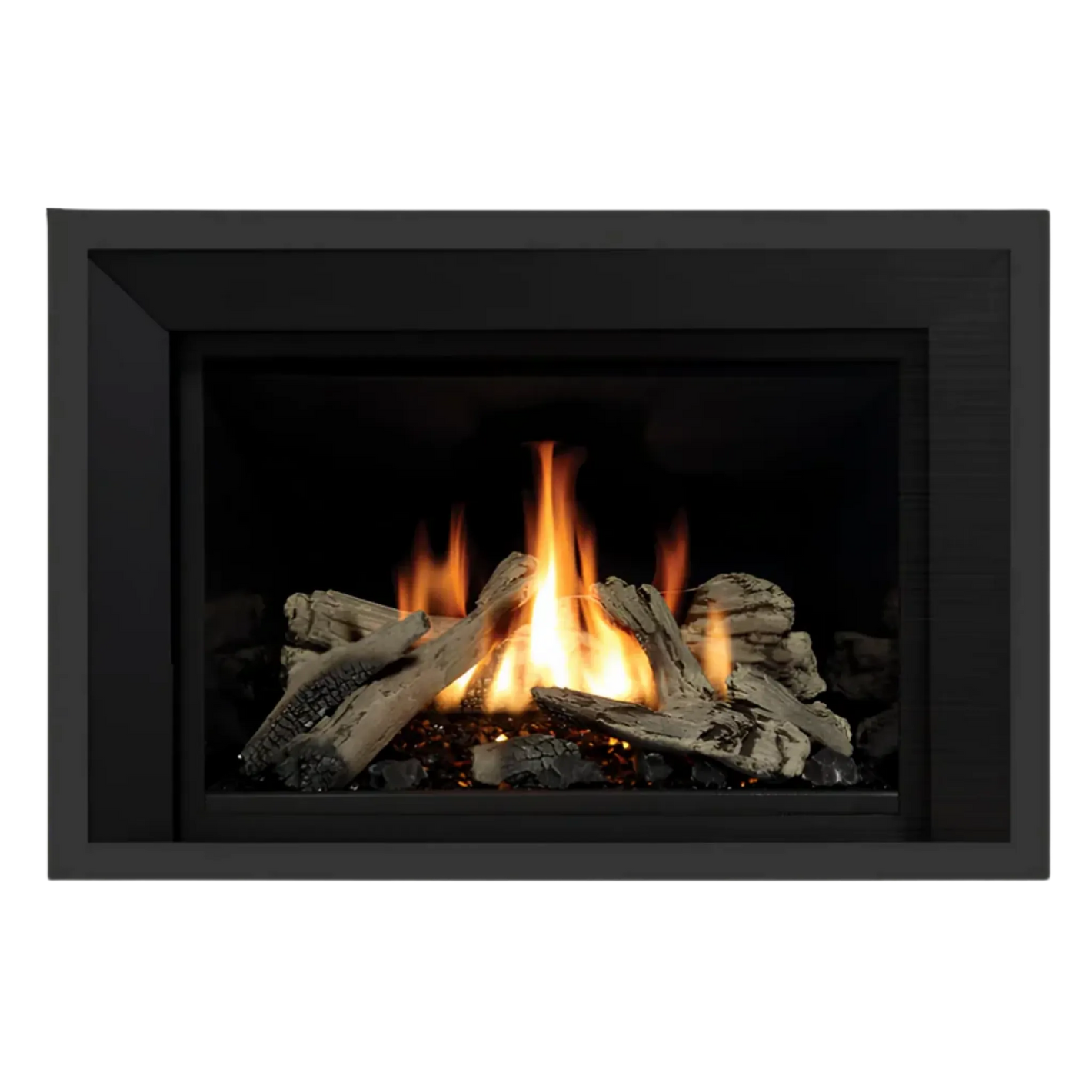 Regency Horizon Radiant Gas Insert