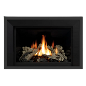 Regency Horizon Radiant Gas Insert