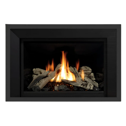 Regency Horizon Radiant Gas Insert