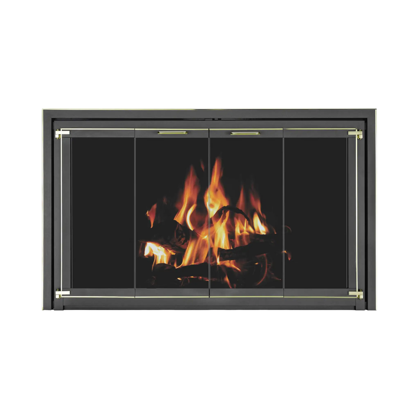 Traditional fireplace doors