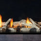 Regency City Series San Francisco Bay Gas Fireplace