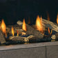 Regency City Series New York View Gas Fireplace