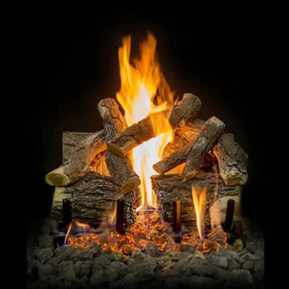 Arizona weathered oak charred gas log set