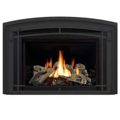 Horizon Gas Insert
