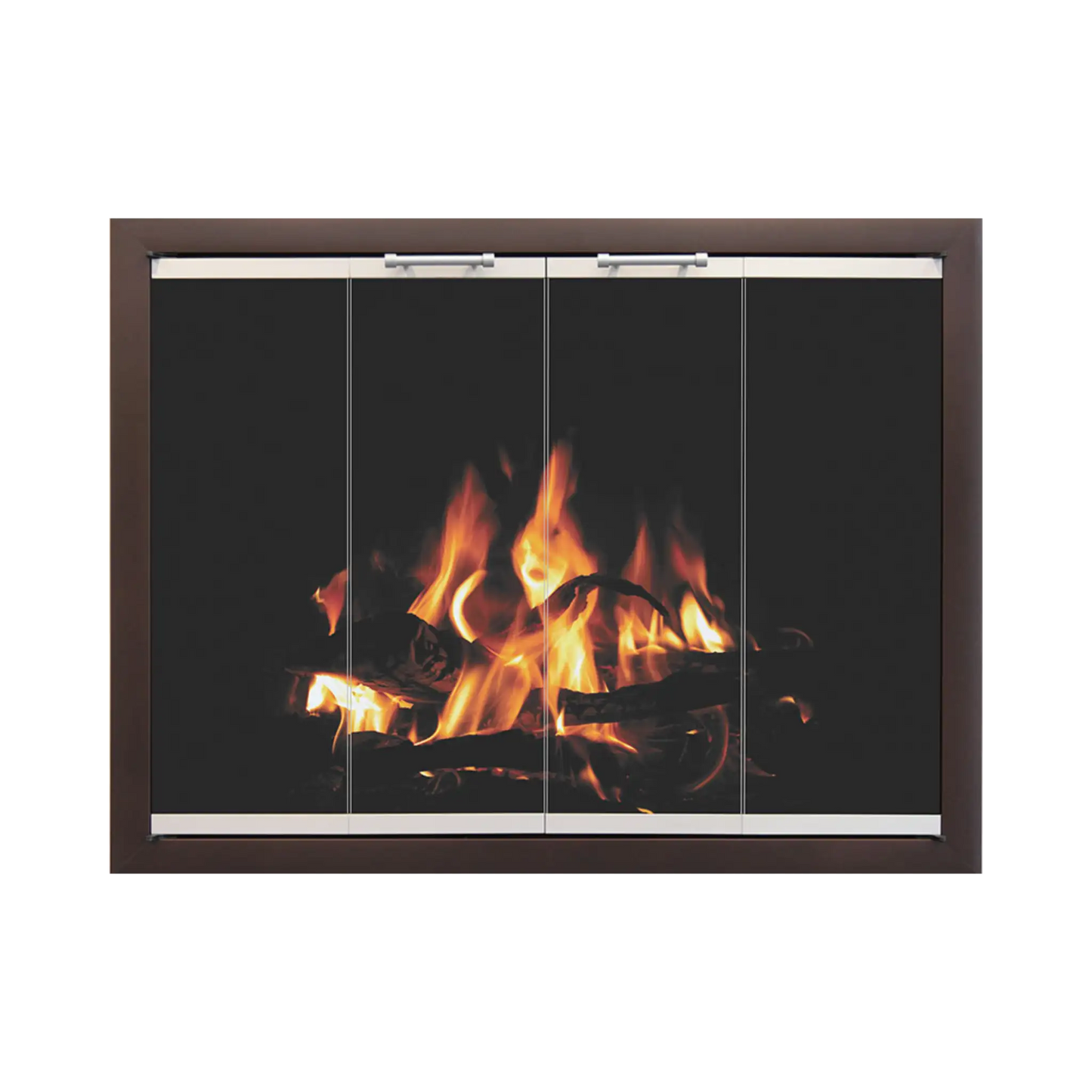 Traditional fireplace doors
