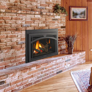 Trilliant series gas fireplace insert