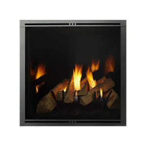 Marquis II direct vent gas fireplace