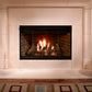 Reveal B-vent gas fireplace