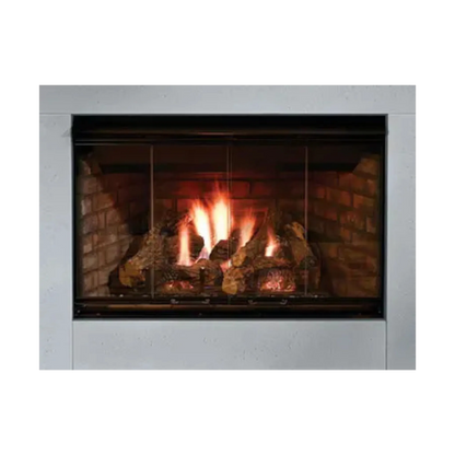 Reveal B-vent gas fireplace