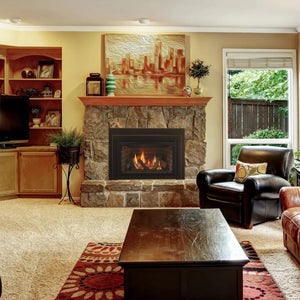 Ruby series direct vent gas insert