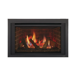 Ruby series direct vent gas insert