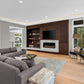 Orion electric fireplace