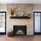 Orion traditional electric insert