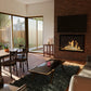 Orion traditional electric insert
