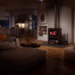 Inspire 2000 wood stove