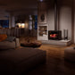 Inspire 2000 wood stove