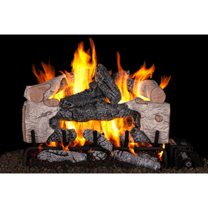 Real Fyre Charred Cinder Birch Gas Logs