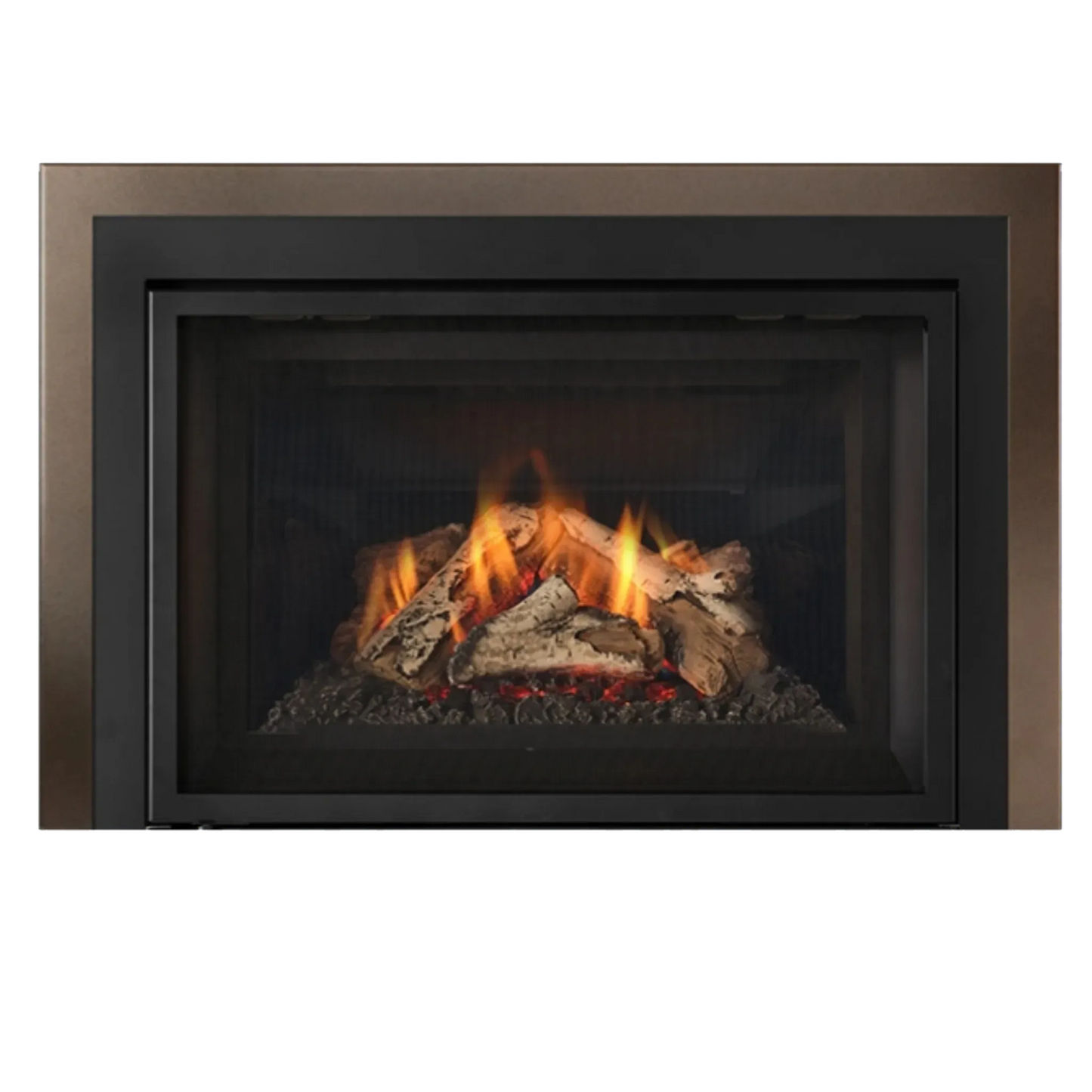Atmosphere gas insert