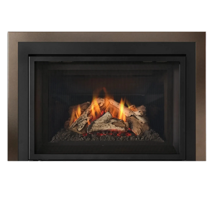 Atmosphere gas insert