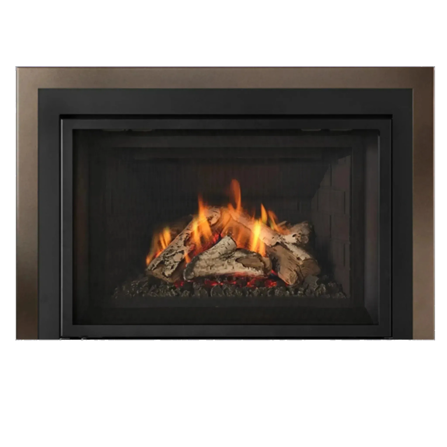 Atmosphere gas insert