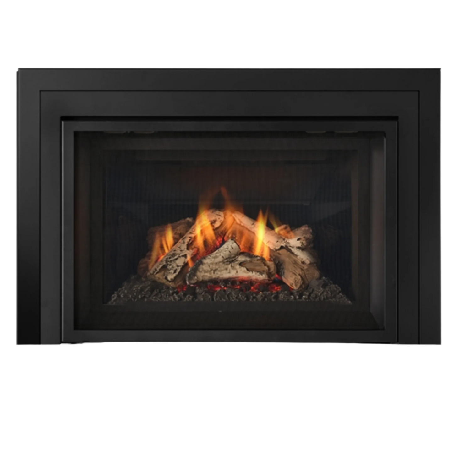Atmosphere gas insert