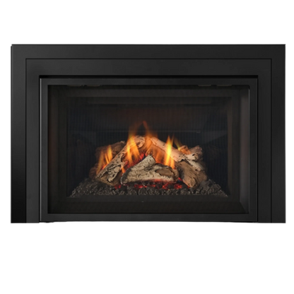 Atmosphere gas insert