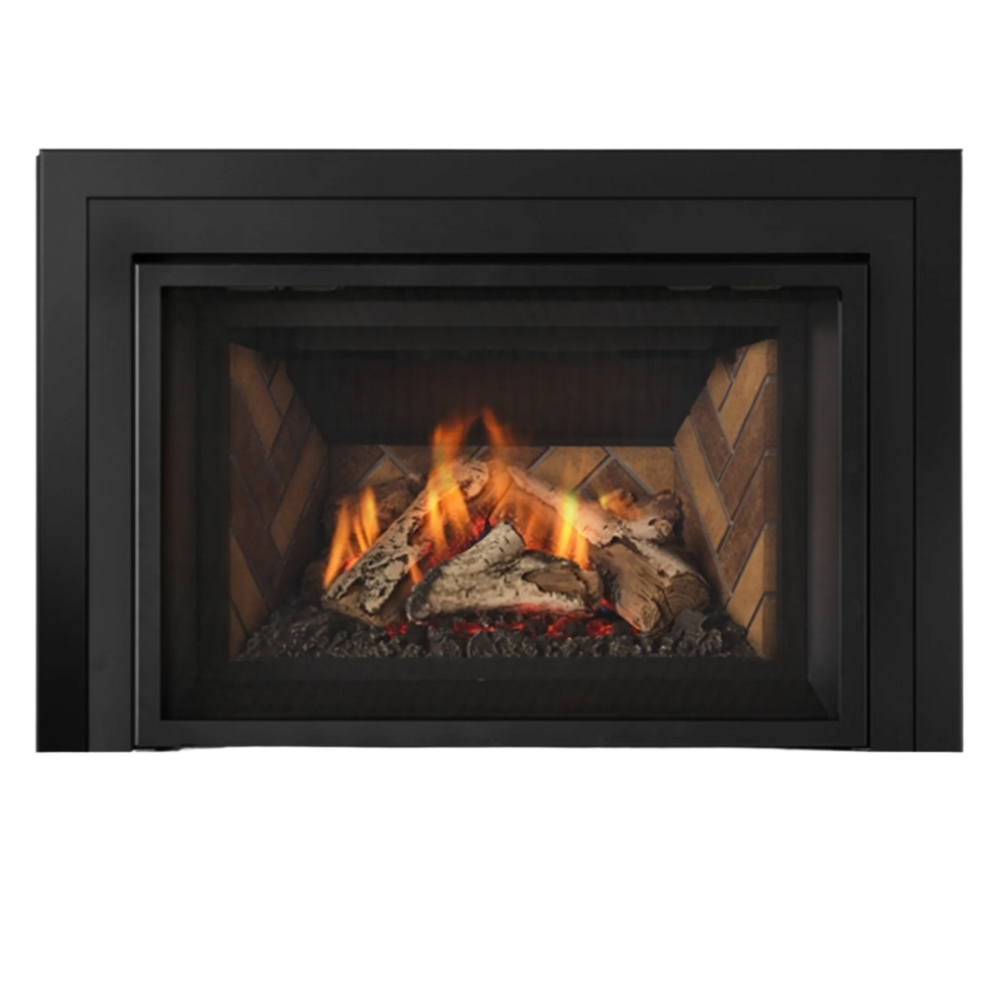 Atmosphere gas insert