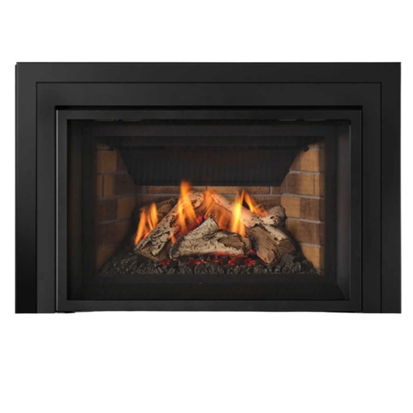 Atmosphere gas insert