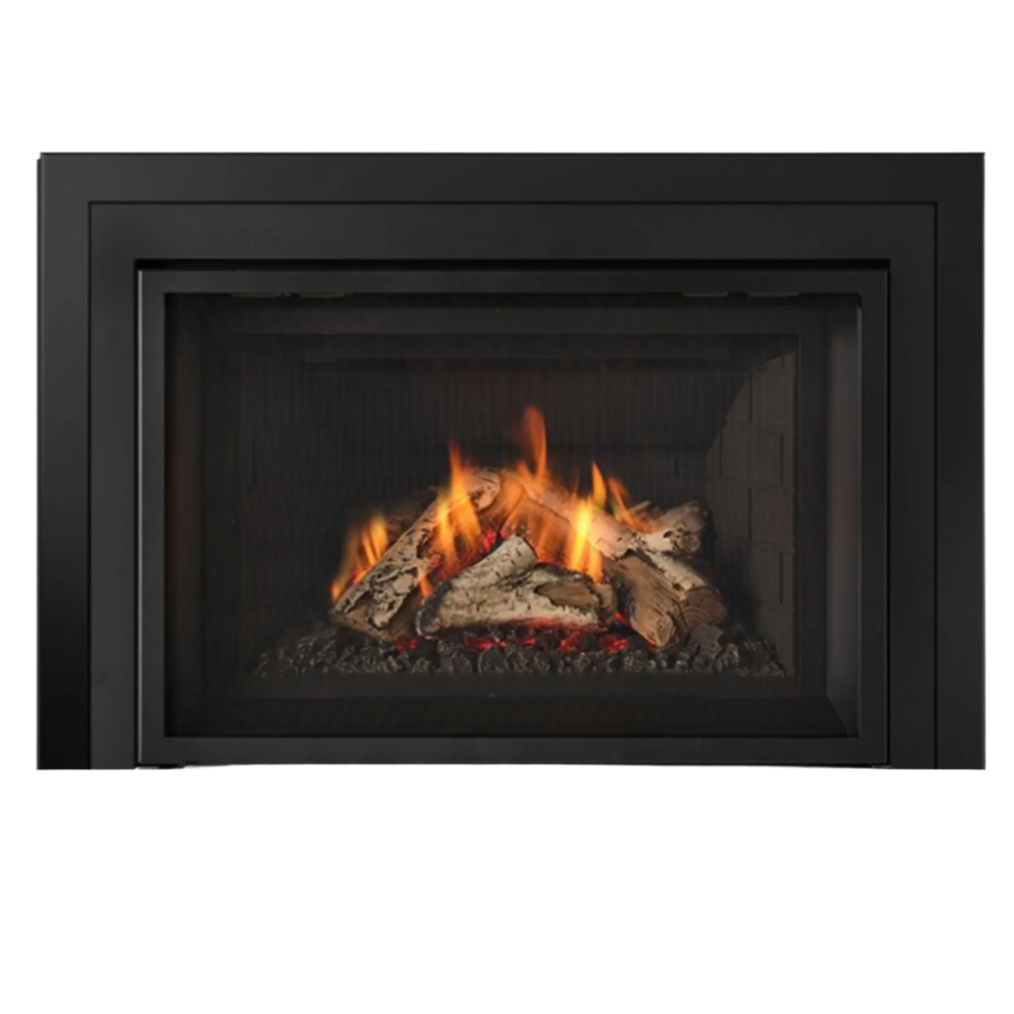 Atmosphere gas insert