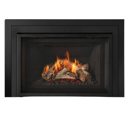 Atmosphere gas insert